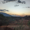 Отель Oldonyo Orok Camp, фото 19