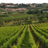 Отель Podere il Poggiolo, фото 12