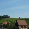 Отель GEWURZTRAMINER - Joli studio au pied du vignoble, фото 10