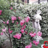 Отель Villa Delle Palme, фото 31