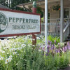 Отель Peppertree Maggie Valley в Мегги-Вэлли