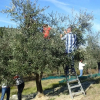 Отель Poderi Val Verde, фото 28