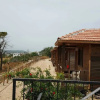 Отель Karpaz farm guest house, фото 3