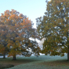Отель Sissinghurst Castle Farmhouse, фото 1