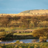 Отель Serengeti River Camp, фото 16