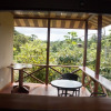 Отель Studio Cecropia Primary Forest View, фото 8