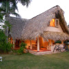 Отель Palm-covered house in the tropical -Casa Oli, фото 9