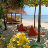 Отель Coconut Lodge, фото 19