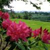 Отель Tui Ridge, фото 18