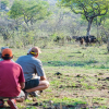 Отель aha Bongani Mountain Lodge, фото 39