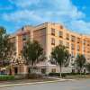 Отель Comfort Suites DFW North/Grapevine в Грейпвайне