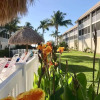 Отель Sanibel Siesta on the Beach Unit 111 2 Bedrooms 2 Bathrooms Condo, фото 29