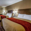 Отель Comfort Inn, фото 11