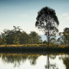 Отель Wandin Valley Estate, фото 20