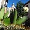 Отель Hostal Horizonte, фото 16