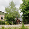 Отель Luxurious apartment in Eibergen near a riding school, фото 22