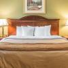 Отель Quality Inn & Suites Ann Arbor Hwy 23, фото 29