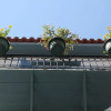 Отель Polyxenia Hotel, фото 13