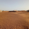 Отель Night Desert Camp, фото 27