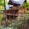 Отель Streamsong Secluded Creek View Cabin with Hot Tub and Pool Table by RedAwning, фото 30