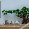 Отель Yunduo Hotel (Lijiang Ancient City), фото 6