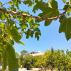 Отель b&b L`Oasi, фото 22