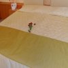 Отель Kaliakra Mare - Ultra All Inclusive, фото 4