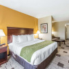 Отель Comfort Suites Kodak Sevierville, фото 5