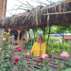 Отель Cottage and Gigo Papa's Wine Cellar, фото 11