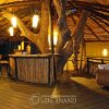 Отель Pugdundee Safaris- Tree House Hideaway, фото 1