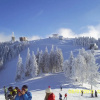 Отель Traveland Poiana Brasov, фото 24