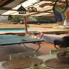 Отель Caracal Lodge, фото 5