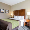 Отель Comfort Inn Garden City, фото 28