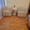 Отель Vila Pinul Si Mesteacanul, фото 3