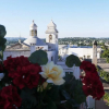 Отель Attis Bed & Breakfast, фото 13