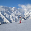 Отель La Montagne Furuhata, фото 19
