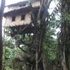 Отель Tanna Lava View Bungalows, фото 9