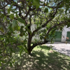 Отель Pipa panorama, фото 22