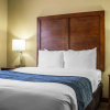 Отель Spark by Hilton Glendale Phoenix North, фото 5