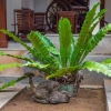 Отель Aqua Nillambe, фото 20