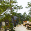 Отель Pine Land Oasis Hotel, фото 4