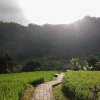 Отель Embang Homestay, фото 1