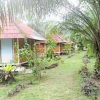 Отель Racha Sunset Resort, фото 13