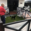 Отель Kilcoy Motel, фото 8