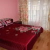 Отель Apartment I. P. Pavlova, фото 1