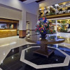 Отель Embassy Suites Lexington, фото 11