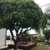 Отель House With 2 Bedrooms in Sainte-anne, With Wonderful sea View, Enclose, фото 18