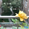 Отель Xincheng Hotel, фото 3