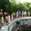 Отель Full Moon Party Hotel - Hostel, фото 13