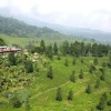 Отель Villa Putri, фото 9
